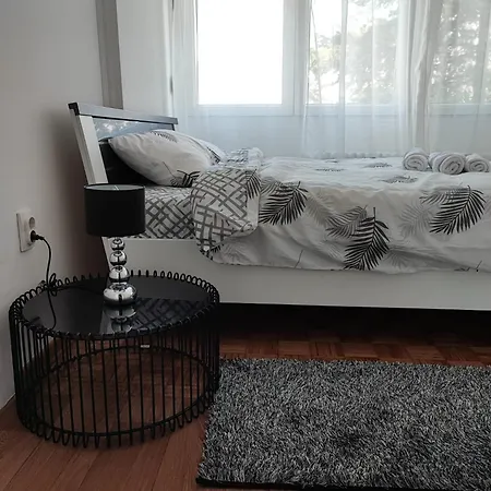 Apartment Andrej 45 *